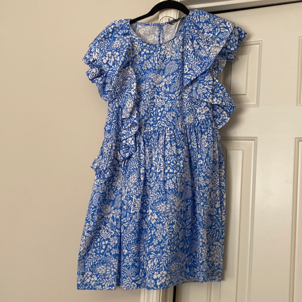 Zara Blue and White Dress